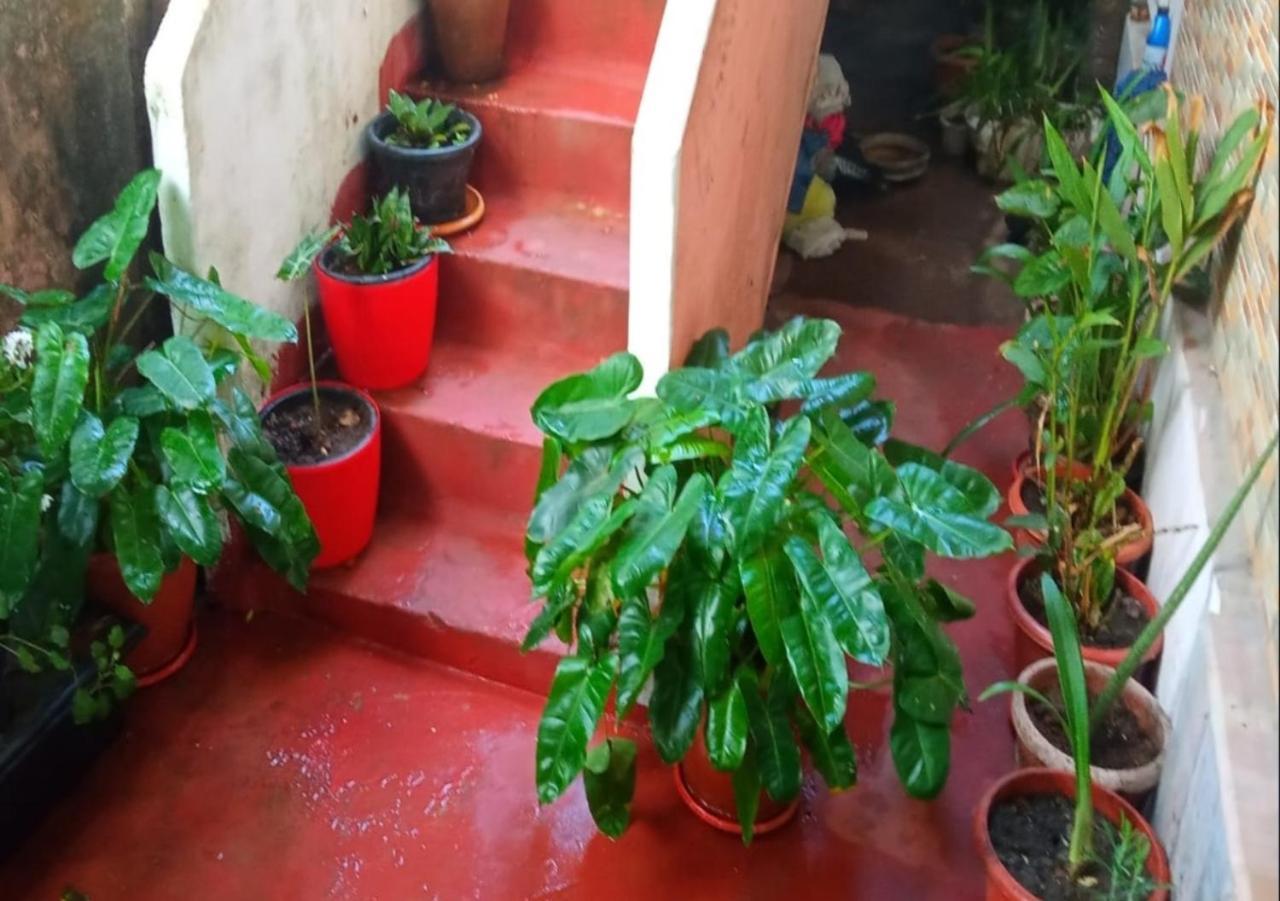 Raelyn'S Homestay Kochi Exterior photo